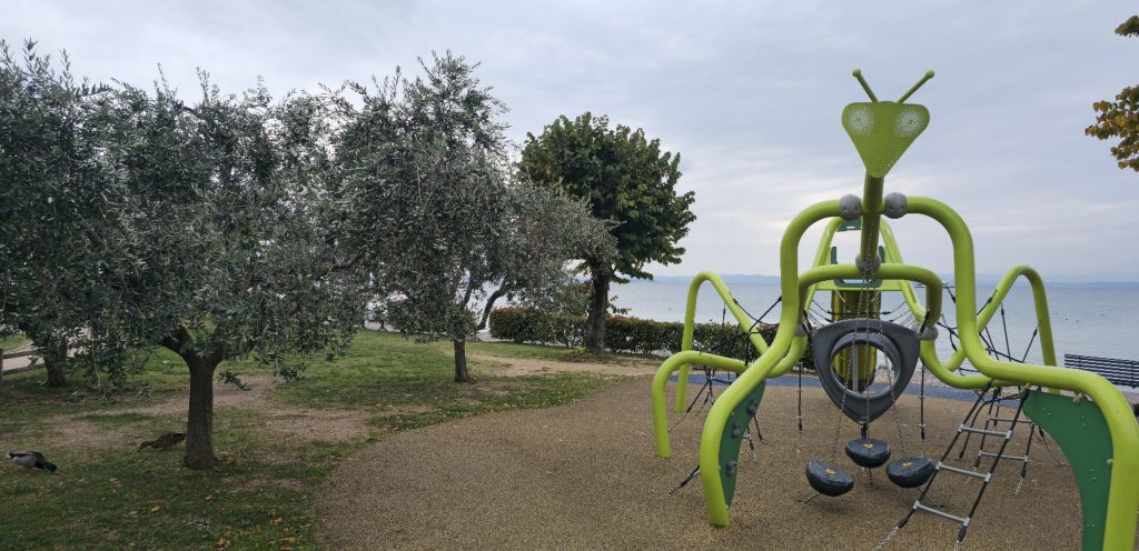 Grünes Klettergerüst zwischen Olivenbäumen direkt am Gardasee