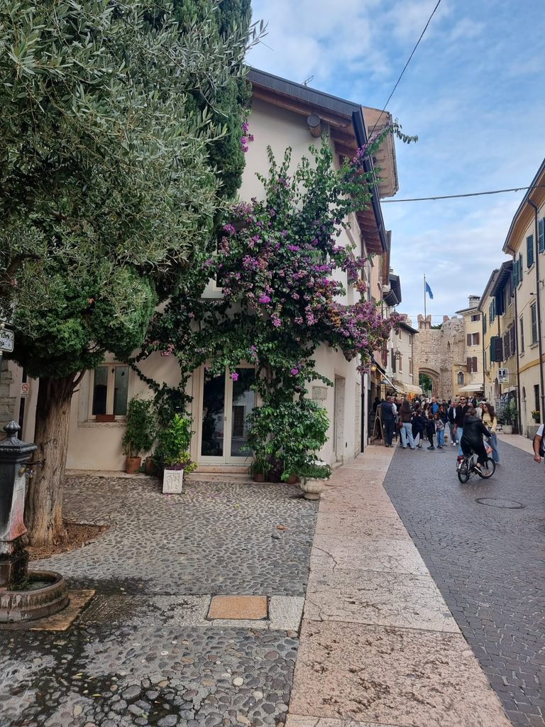 Enge Gasse in Lazise mit historischen Häusern und mediterranen Pflanzen.